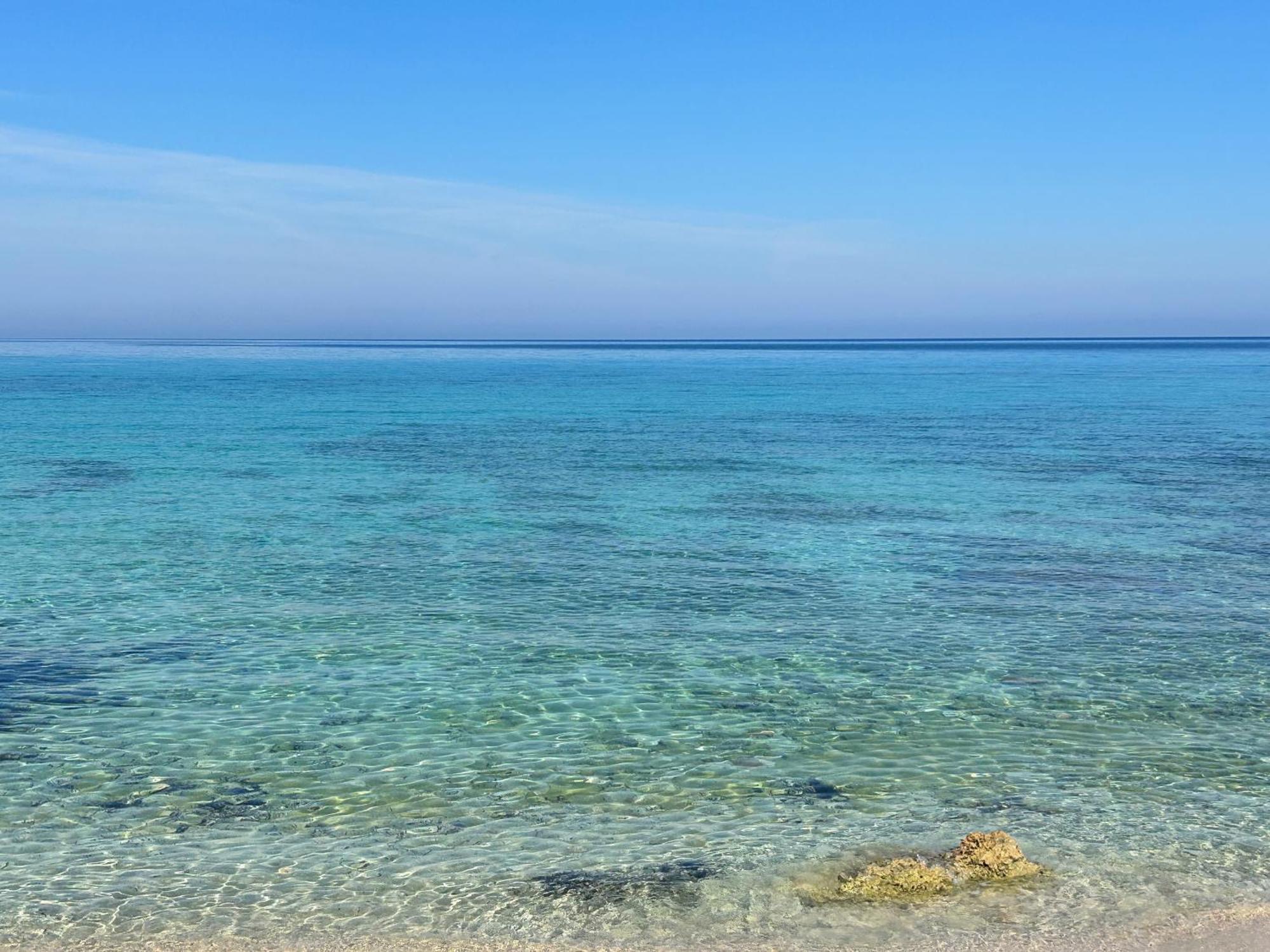 L'Oasi Una Pineta Sul Mare Custonaci Exterior foto