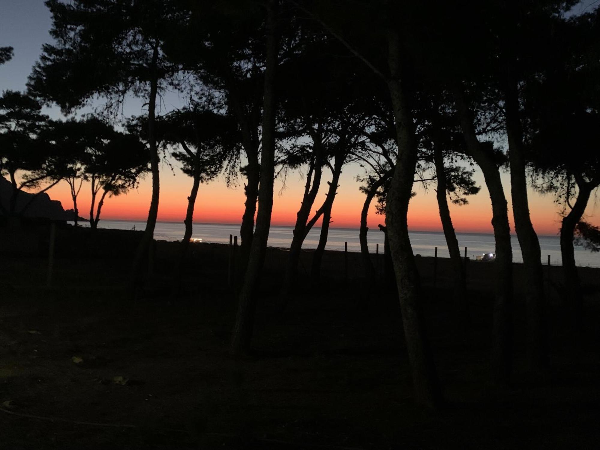 L'Oasi Una Pineta Sul Mare Custonaci Exterior foto